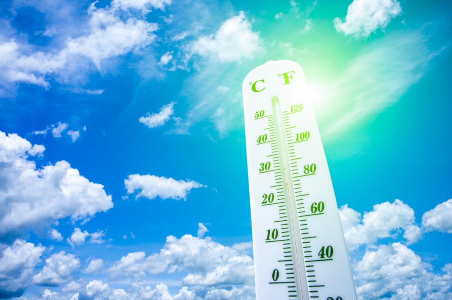 Климатотерапия в санатории - фотография