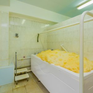 Пенно солодковая ванна в санатории Лесная Поляна в городе Пятигорске - фотография