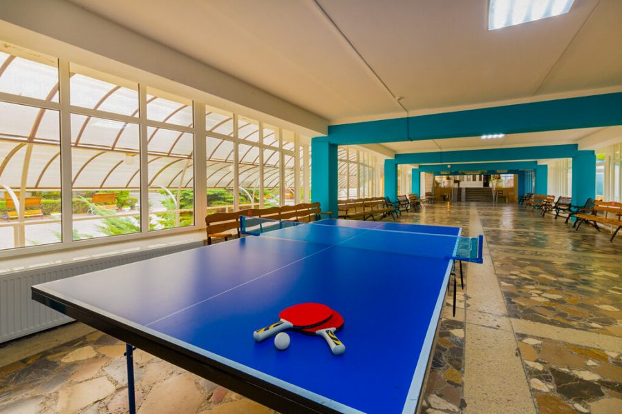 Настольный теннис в санатории Лесная Поляна в городе Пятигорске - фотография