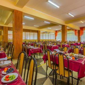 Обеденный зал в санатории Лесная Поляна в городе Пятигорске - фотография