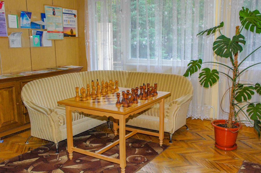 Шахматы в санатории Лесная Поляна в городе Пятигорске - фотография