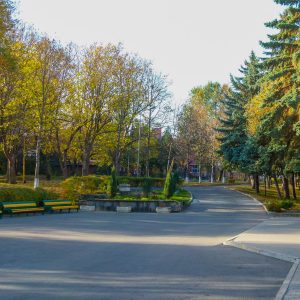 Территория в санатории Лесная Поляна в городе Пятигорске - фотография