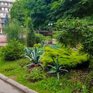 Территория в санатории Лесная Поляна в городе Пятигорске - фотография