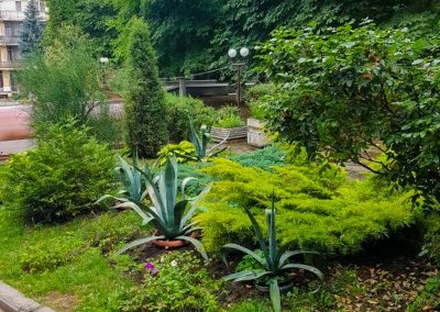 Территория в санатории Лесная Поляна в городе Пятигорске - фотография