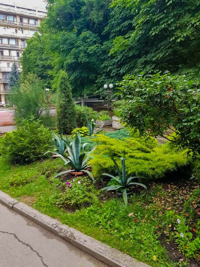 Территория в санатории Лесная Поляна в городе Пятигорске - фотография