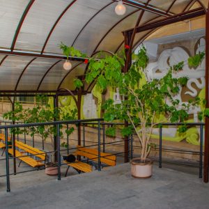 Территория в санатории Лесная Поляна в городе Пятигорске - фотография