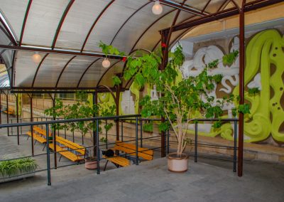 Территория в санатории Лесная Поляна в городе Пятигорске - фотография