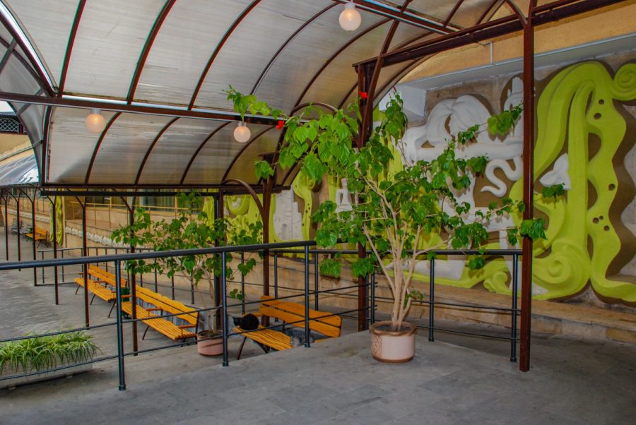 Территория в санатории Лесная Поляна в городе Пятигорске - фотография