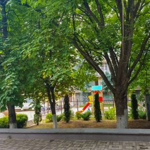 Территория в санатории Лесная Поляна в городе Пятигорске - фотография