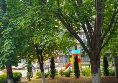 Территория в санатории Лесная Поляна в городе Пятигорске - фотография