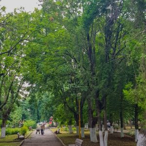 Территория в санатории Лесная Поляна в городе Пятигорске - фотография