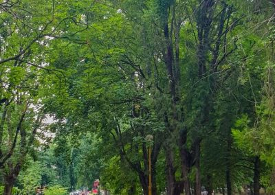 Территория в санатории Лесная Поляна в городе Пятигорске - фотография