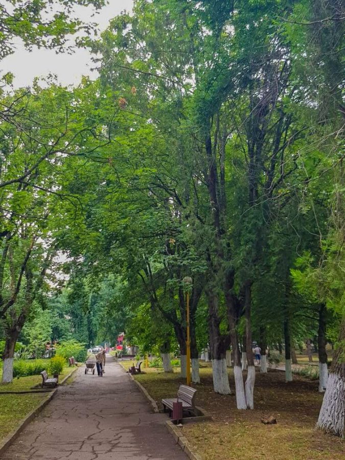 Территория в санатории Лесная Поляна в городе Пятигорске - фотография