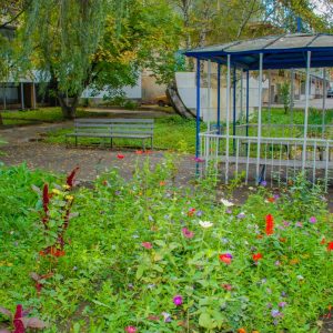 Территория в санатории Лесная Поляна в городе Пятигорске - фотография