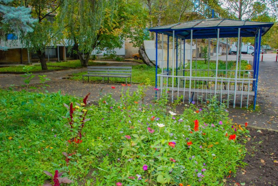 Территория в санатории Лесная Поляна в городе Пятигорске - фотография