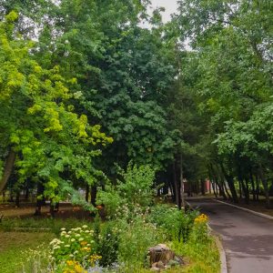 Территория в санатории Лесная Поляна в городе Пятигорске - фотография