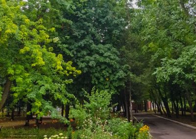 Территория в санатории Лесная Поляна в городе Пятигорске - фотография