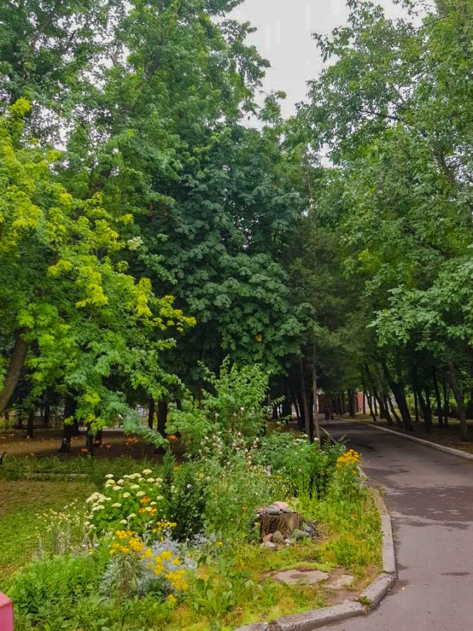 Территория в санатории Лесная Поляна в городе Пятигорске - фотография