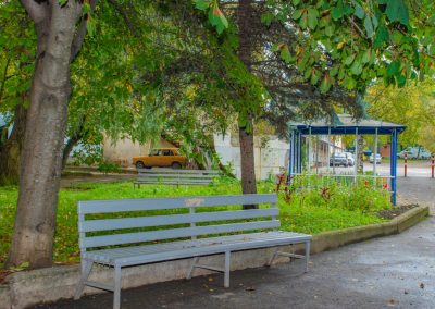 Территория в санатории Лесная Поляна в городе Пятигорске - фотография