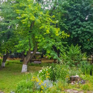 Территория в санатории Лесная Поляна в городе Пятигорске - фотография