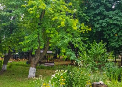 Территория в санатории Лесная Поляна в городе Пятигорске - фотография