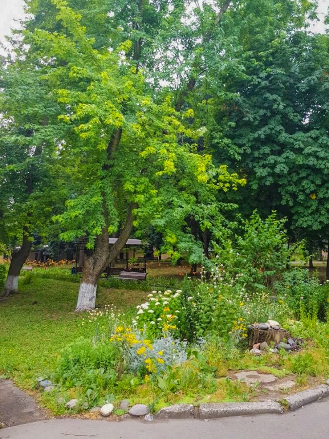 Территория в санатории Лесная Поляна в городе Пятигорске - фотография