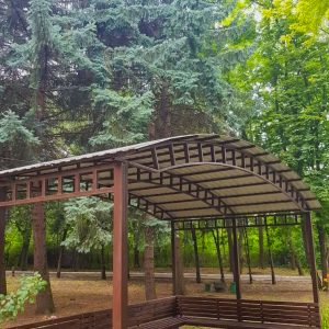Территория в санатории Лесная Поляна в городе Пятигорске - фотография