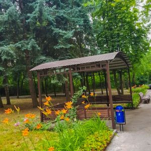 Территория в санатории Лесная Поляна в городе Пятигорске - фотография