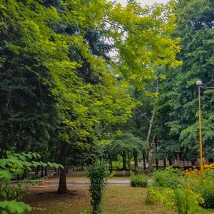Территория в санатории Лесная Поляна в городе Пятигорске - фотография