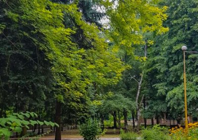 Территория в санатории Лесная Поляна в городе Пятигорске - фотография