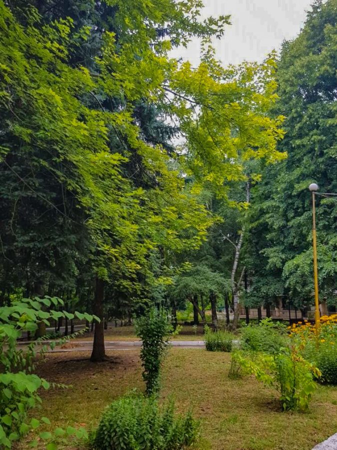 Территория в санатории Лесная Поляна в городе Пятигорске - фотография