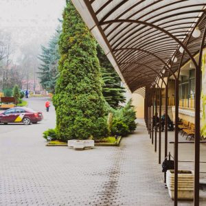 Территория в санатории Лесная Поляна в городе Пятигорске - фотография