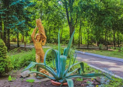 Территория в санатории Лесная Поляна в городе Пятигорске - фотография