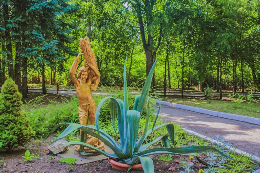 Территория в санатории Лесная Поляна в городе Пятигорске - фотография