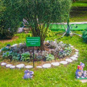 Территория в санатории Лесная Поляна в городе Пятигорске - фотография