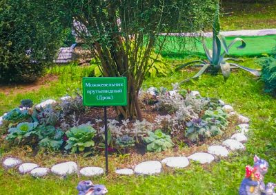 Территория в санатории Лесная Поляна в городе Пятигорске - фотография