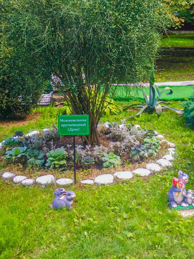 Территория в санатории Лесная Поляна в городе Пятигорске - фотография