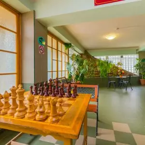 Шахматы в санатории Лесная Поляна в городе Пятигорске - фотография